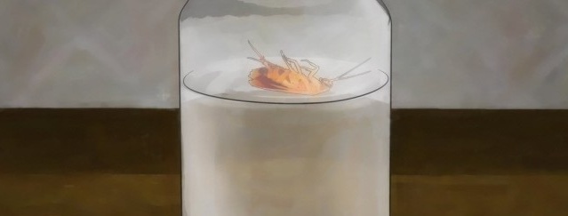 Wenn Sie eine Kakerlake in einem Glas Milch finden, werden Sie nicht begeistert sein