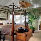 Tropisches Bett