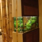 Aquarium Innenraum