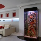 Aquarium im Inneren des Wohnzimmerfotos