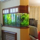 Wie man ein Aquarium in den Innenraum einbaut