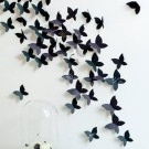 Schmetterlinge Wandtattoos