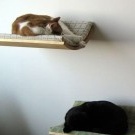Bett für Katze