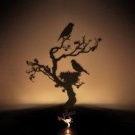 Nachtlichtbaum mit Schattenvogel