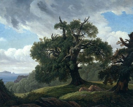 Laminate oak di kawasan pedalaman