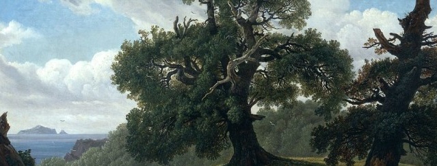 Laminate oak di kawasan pedalaman