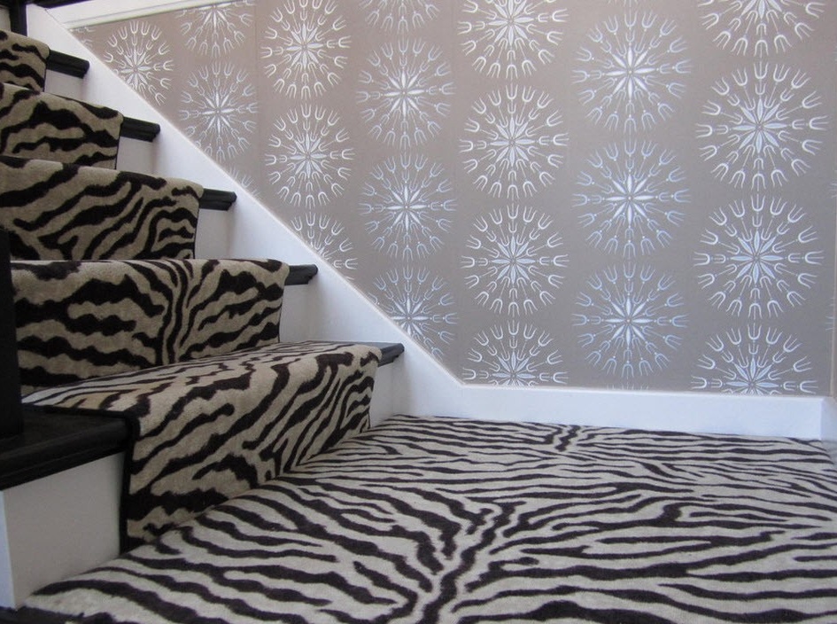 Zebra auf einer Treppe