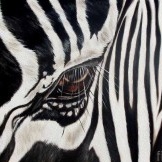 Zebra melukis di kawasan pedalaman