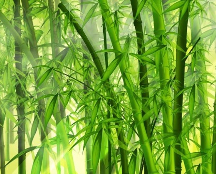 Bambustapete im Innenraum