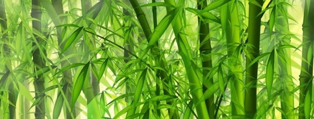 Bambustapete im Innenraum