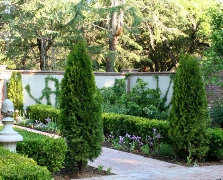 Cypress, dinding putih