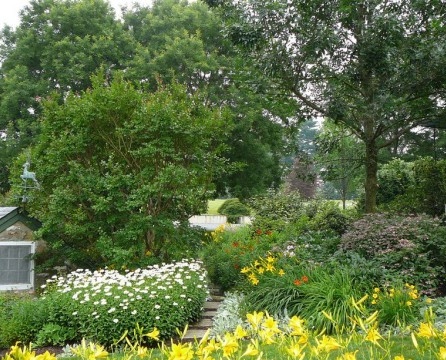 Daylily - tambahan terbaik ke taman